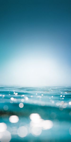 Wallpaper